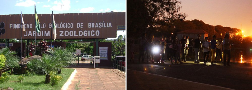 Estão disponíveis 60 vagas para passar a noite de 27 de agosto no local. Podem participar crianças e adolescentes de 10 a 16 anos, que poderão acompanhar hábitos noturnos dos animais