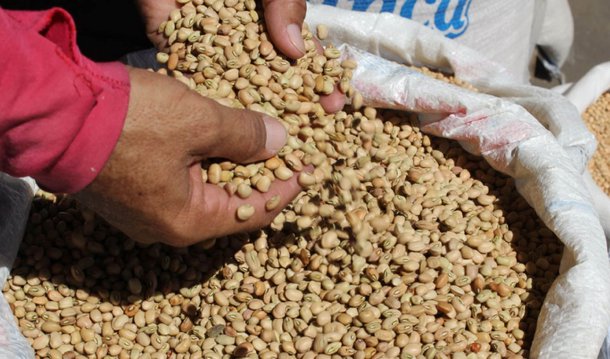 Ministro da Agricultura, Pecuária e Abastecimento (Mapa), Blairo Maggi, anunciou nesta quarta-feria, 22, que governo vai liberar a importação de feijão de alguns países, como Argentina, no Paraguai e na Bolívia; Maggi disse ainda que pretende propor às grandes redes de supermercado que busquem comprar o produto nas regiões onde a oferta é maior; "Pessoalmente tenho me envolvido nas negociações com os cerealistas, com os grandes supermercados, para que eles possam fugir do tradicional que se faz no Brasil, e ir diretamente à fonte onde tem esse produto e trazer", disse 