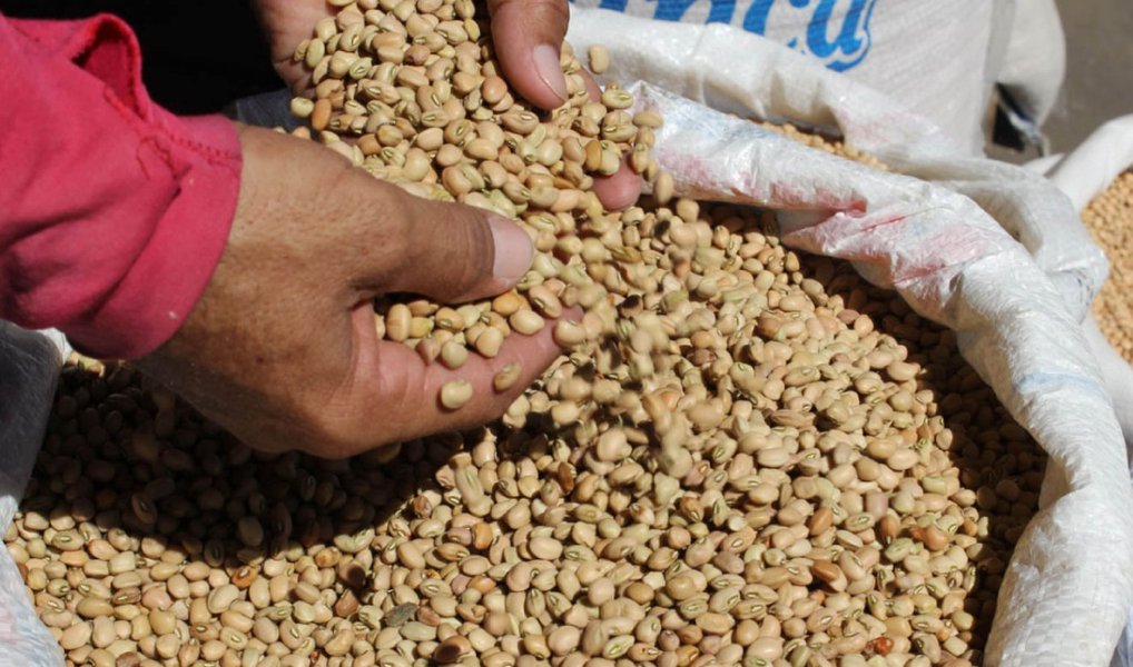 Ministro da Agricultura, Pecuária e Abastecimento (Mapa), Blairo Maggi, anunciou nesta quarta-feria, 22, que governo vai liberar a importação de feijão de alguns países, como Argentina, no Paraguai e na Bolívia; Maggi disse ainda que pretende propor às grandes redes de supermercado que busquem comprar o produto nas regiões onde a oferta é maior; "Pessoalmente tenho me envolvido nas negociações com os cerealistas, com os grandes supermercados, para que eles possam fugir do tradicional que se faz no Brasil, e ir diretamente à fonte onde tem esse produto e trazer", disse 