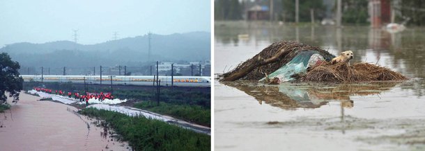 Pelo menos 186 pessoas morreram vítimas de fortes chuvas na China; cerca de 150 milhões de pessoas foram evacuadas em todo o país e há registros de 56 mil habitações destruídas; total de danos acumulados é estimado em US$ 7,6 milhões; as chuvas torrenciais afetaram 1,2 mil distritos em 26 províncias