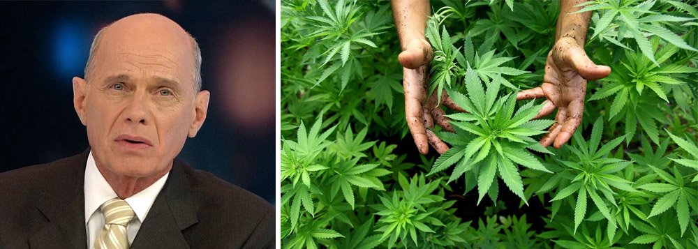 Em entrevista ao site Growroom, dedicado à legalização e comercialização da maconha, o jornalista Ricardo Boechat criticou a política de repressão da droga; para ele, a hipocrisia e leis retrógradas mantêm a cannabis na ilegalidade como se isso resolvesse os problemas; "Ah você vai ficar doidão. Tem cara que fica doidão e pinta bem pra caralho, outros compõem músicas antológicas. Tem mais, Hitler não se drogava, o Eduardo Cunha não deve consumir droga", afirmou; sobre o uso medicinal, Boechat disse que faria o que fosse necessário para ter acesso à maconha; "Quem é a Anvisa? É uma agência reguladora como todas as outras num antro de putaria. Vou deixar minha saúde nas mãos dessas figuras?"