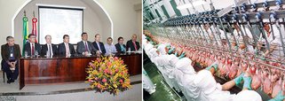 Com a meta de elevar a produção de frangos no Maranhão até 2018, o governo do estado lançou o Plano de Industrialização da Avicultura, que prevê a expansão da cadeia produtiva, elevando a produção de 3,5 milhões para 10,5 milhões de aves por mês até 2018; conforme o executivo, o investimento de R$ 380 milhões de investimentos até daqui a dois anos vai garantir o incremento de 7 milhões de aves mês na produção local, fomento à estruturação de uma rede de abatedouros e abertura de novos mercados; governador Flávio Dino e o secretário de Indústria e Comércio, Simplício Araújo, apresentaram o projeto aos empresários do ramo e a instituições financeiras