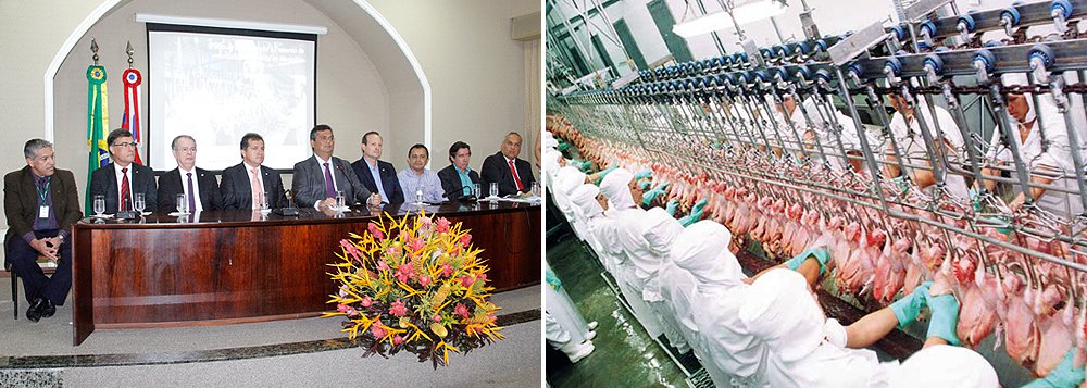 Com a meta de elevar a produção de frangos no Maranhão até 2018, o governo do estado lançou o Plano de Industrialização da Avicultura, que prevê a expansão da cadeia produtiva, elevando a produção de 3,5 milhões para 10,5 milhões de aves por mês até 2018; conforme o executivo, o investimento de R$ 380 milhões de investimentos até daqui a dois anos vai garantir o incremento de 7 milhões de aves mês na produção local, fomento à estruturação de uma rede de abatedouros e abertura de novos mercados; governador Flávio Dino e o secretário de Indústria e Comércio, Simplício Araújo, apresentaram o projeto aos empresários do ramo e a instituições financeiras