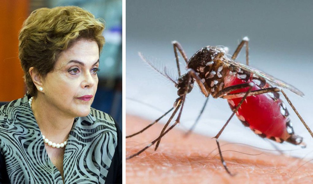 "É uma pauta perfeita, desde que bem executada para colocar a presidente Dilma no papel de protagonista que perdeu no ano passado, à frente de um movimento para unir o país contra o mosquito", afirma Alex Solnik, colunista do 247; "A favor do mosquito ninguém será. Combater o mosquito será mais fundamental do que discutir o impeachment", avalia o jornalista; para ele, "o mosquito pode, enfim, tirar o governo da inércia e do segundo plano"