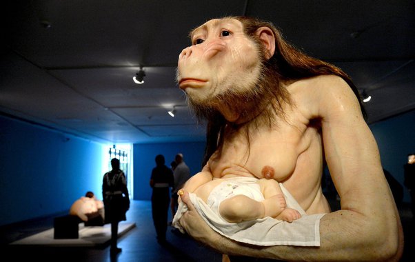 Estranhamento. Doçura. Medo. Curiosidade. Estes são apenas alguns dos sentimentos que os seres criados pela artista australiana Patricia Piccinini inspiram nos visitantes da exposição ComCiência, aberta para visitação no Centro Cultural Banco do Brasil, em Brasília
