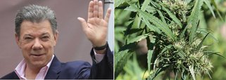 Presidente da Colômbia, Juan Manuel Santos, assinou decreto que legaliza o uso médico da maconha, medida que segundo ele não enfraquece a luta do governo contra plantações ilícitas e tráfico de drogas; "Permitir o uso da maconha não vai contra os nossos compromissos internacionais para controlar as drogas ou contra a nossa política de lutar contra o tráfico", afirmou; não há planos para legalizar totalmente a maconha para uso recreativo ou venda comercial, ao contrário do Uruguai, que legalizou a droga em 2013