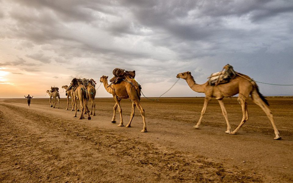 O Travel Photographer of the Year é um dos mais importantes concursos internacionais para a fotografia de viagem, dedicado a profissionais e amadores. Na galeria abaixo mostramos as principais imagens premiadas em 2015. Um show que vale por várias viagens ao vivo e em cores. 