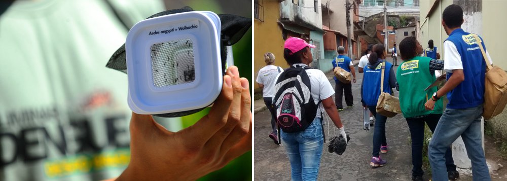 O estado do Rio de Janeiro registrou, do início do ano até agora, 65.870 casos suspeitos de dengue, com 22 mortes; a secretaria informou também que o estado teve confirmados dez casos de febre chicungunya; de acordo com a Superintendência de Vigilância Epidemiológica e Ambiental, quatro desses casos foram diagnosticados em pessoas que haviam viajado a outros países ou estados e seis foram transmitidos dentro do território fluminense durante o mês de novembro