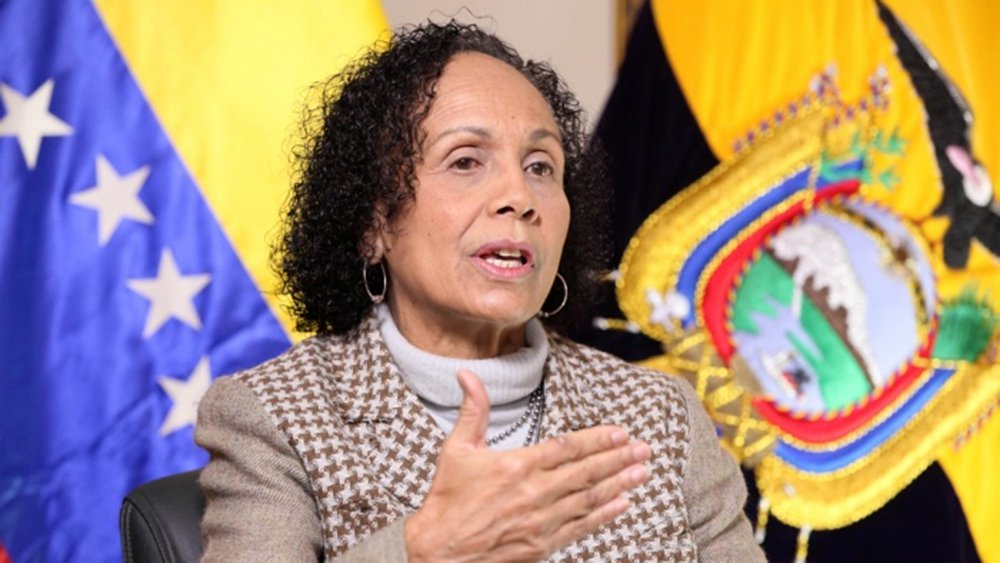 Segundo María de Lourdes, embaixadora da Venezuela no Brasil, a direita tenta atropelar a democracia, se contrapondo a projetos de inclusão social implementados em países como Venezuela, Equador, Chile, Argentina e no próprio Brasil; ela critica o fato de que protestos nesses países não solicitam reivindicações, e sim a saída de seus governantes