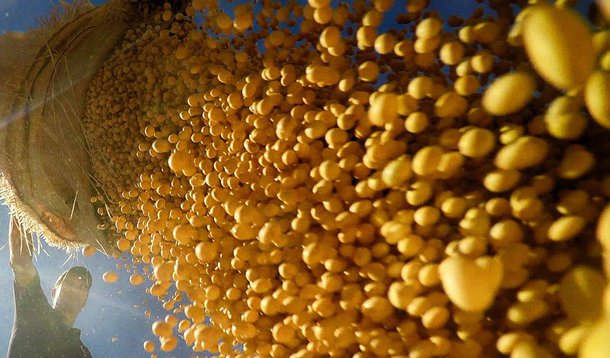 O Instituto Brasileiro de Geografia e Estatística (IBGE) estima que a safra de cereais, leguminosas e oleaginosas deverá ficar em 209,3 milhões de toneladas no próximo ano, de acordo com seu segundo prognóstico para 2016; a estimativa é 1% inferior à previsão para 2015; apesar da queda na safra total, é esperada uma produção recorde de soja