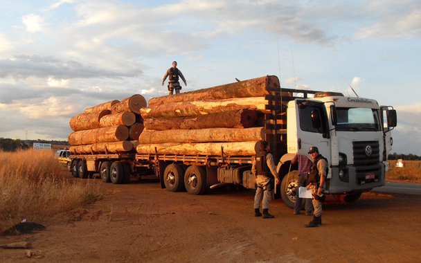 Será um tema quente na COP21: o comércio de espécies selvagens, pesca ilegal, tráfico de resíduos tóxicos... A criminalidade ambiental está crescendo. Projeto que será defendido durante a Conferência sobre o clima que acontecerá em novembro em Paris, quer reforçar o arsenal jurídico internacional.