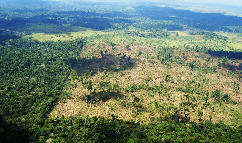 A taxa de desmatamentos no mundo caiu mais de 50% nos últimos 25 anos, diz o estudo Global Forest Resources Assessment 2015 (Avaliação de Recursos Florestais Globais 2015, em tradução livre), da Organização das Nações Unidas para Agricultura e Alimentação (FAO); segundo o relatório, a taxa anual de perda florestal era de 0,18% no início dos anos 90 e nos últimos cinco anos essa taxa diminuiu para 0,08%; “Ao longo dos últimos 25 anos as florestas do mundo têm mudado das mais diversas e dinâmicas formas. Países têm um maior conhecimento dos seus recursos florestais e, como resultado, temos um quadro melhor da mudança das florestas globais”, diz um trecho do estudo