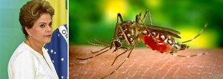 Presidente Dilma Rousseff vai ao Rio na mobilização nacional de combate ao Aedes aegypti, convocada para o próximo sábado, e pretende enviar um ministro de estado a cada capital do país para acompanhar os trabalhos das Forças Armadas; eles vão representar o governo federal e monitorar o trabalho de distribuição de material impresso com informações para a população sobre como manter a casa livre dos criadouros do mosquito; o titular da Saúde, Marcelo Castro, seguirá para Salvador, e o chefe da Casa Civil, Jaques Wagner, que irá a São Luís