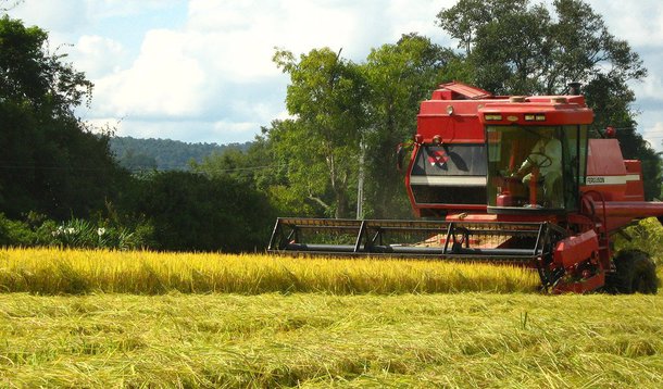 Reportagem da Carta Maior mostra como o Agronegócio exporta a água, o suor e o sangue dos trabalhadores, envenena o meio ambiente e as populações, e ainda posa de campeão do PIB; 
 
 