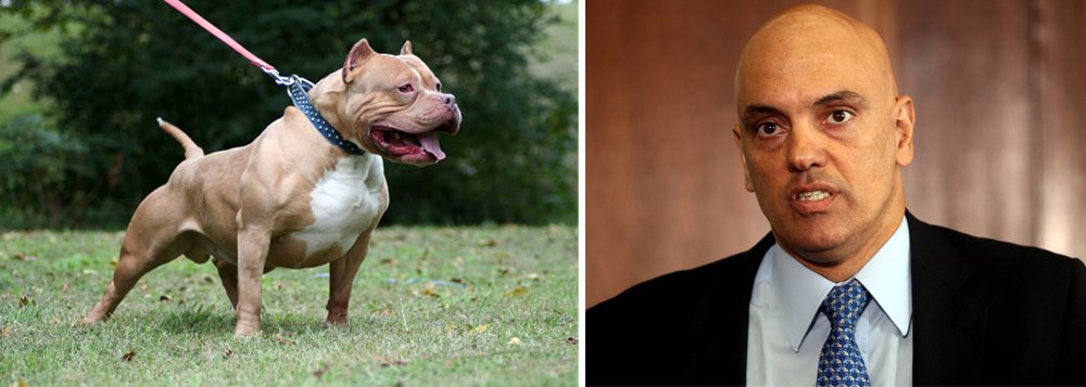 Para Maria Cristina Fernandes, do Valor, o secretário de Segurança Pública de São Paulo, Alexandre de Moraes, deve “ser a estrela da constelação de direita que começará a governar o país a partir de hoje”; “Com Guilherme Boulos (MTST) e João Pedro Stédile (MST) a queimar pneus país afora, Moraes encarnará o vozeirão da ordem. Vai respaldar a atuação de secretários estaduais de segurança na repressão a movimentos sociais”