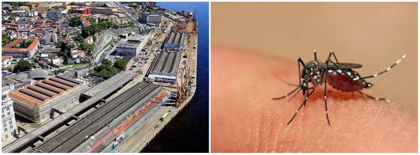 O ministro da Secretaria de Portos da Presidência da República, Helder Barbalho, participou de uma vistoria nas ações de prevenção à proliferação do Aedes aegypti no Porto do Rio de Janeiro, que começaram a ser intensificadas nesta semana; o mosquito é o transmissor da dengue, do vírus Zika e da chikungunya; a comitiva do ministro entregou panfletos com recomendações a turistas que desembarcavam de cruzeiros no Píer Mauá e conheceu a estação de controle de vetores e pragas da Companhia Docas do Rio de Janeiro, no Armazém 14 do porto