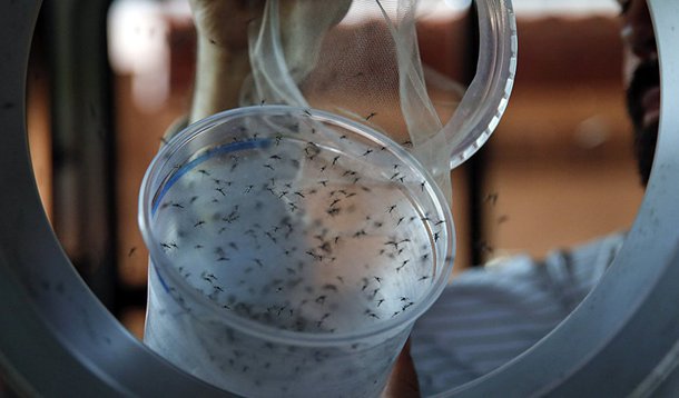 Caso foi registrado em uma mulher infectada na República Dominicana, onde passava férias; de acordo com a agência estatal Rospotrebnadzor, a mulher foi hospitalizada em Moscou e o seu estado é satisfatório