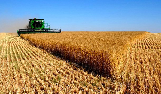 Previsão é do IBGE e foi divulgada nesta terça-feira 12; segundo o instituto, a safra brasileira de cereais, leguminosas e oleaginosas fechou 2015 com uma produção de 209,5 milhões de toneladas, superando em 7,7% a de 2014; já para 2016, o terceiro prognóstico indica uma produção de 210,7 milhões de toneladas, superando em 0,5% o número de 2015
