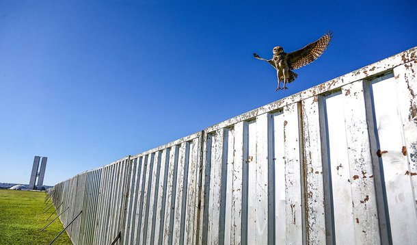 "Como brasiliense que sou, jamais imaginei ver algo assim na minha amada cidade. O que aconteceu? Aonde vamos parar? Até quando vamos permitir a divisão de um país?", afirma Ricardo Stuckert, autor da imagem acima, sobre o muro erguido na capital federal pelo GDF, para o dia da votação do impeachment; "Quem for a Esplanada terá que escolher um lado. Uma vez escolhido, não pode passar para o outro lado. Se tiver um amigo ou parente do lado oposto, problema seu. Não se atreva a ir para o outro lado. Não existe possibilidade de diálogo. Existe sim um muro para nos lembrar que ainda temos um longo caminho para percorrer no respeito ao próximo e a liberdade de expressão de cada um"