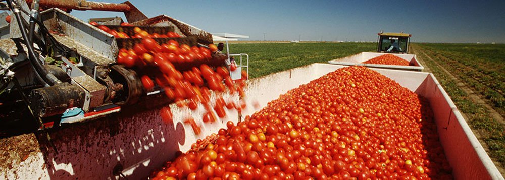 Segundo o boletim Produção Agrícola Municipal (PAM) de Culturas Temporárias e Permanentes 2014, elaborado pelo Instituto Brasileiro de Geografia e Estatística (IBGE), o valor da produção agrícola brasileira chegou a R$ 251,2 bilhões em 2014, 8,1% a mais sobre o valor registrado em 2013; soja, café arábica e o algodão herbáceo (17,4%) foram as culturas que mais influenciaram o resultado