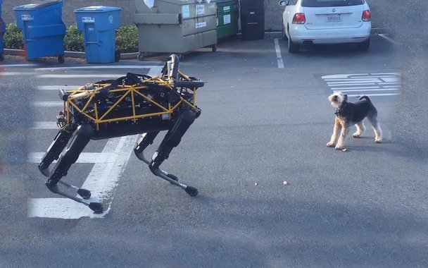 Os humanos não são os únicos a pensar que Spot, o famoso robô a quatro patas da Boston Dynamics seja um pouco inquietante: Observem o que acontece quando ele encontra Cosmo, um cachorro de verdade.