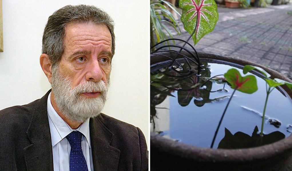 "O fato de São Paulo concentrar metade dos casos de dengue do país pode modificar a luta contra o aedes egypt, transmissor de várias doenças, muito mais graves, até. No início do século passado, a febre amarela só foi combatida para valer quando chegou ao Rio de Janeiro, ameaçando a riqueza gerada pelas exportações de café", afirma Paulo Moreira Leite; em entrevista ao programa Espaço Público, o professor Marcos Boulos explica que as epidemias só costumam ser enfrentadas quando atingem grandes "interesses econômicos"