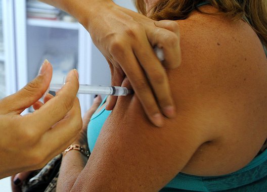 A Secretaria de Saúde (SMS) da Prefeitura do Rio antecipa para o dia 25 de abril a Campanha de Vacinação contra a Gripe para os grupos de prioritários formados por crianças de seis meses a 5 anos incompletos (até 4 anos, 11 meses e 29 dias), gestantes e doentes renais crônicos; a partir do dia 30, data originalmente prevista para início da campanha, a vacina estará disponível para as demais populações alvo – idosos a partir de 60 anos, mulheres até 45 dias após o parto e profissionais de saúde – além de outros doentes crônicos, presos e funcionários do sistema prisional