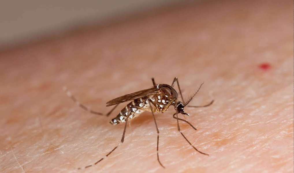 Uma parceria entre a Secretaria Municipal de Saúde e a SuperVia realizou mais uma edição do Trem da Prevenção; ao som de marchinhas de carnaval, o bloco formado por profissionais de saúde embarcou em uma das composições da companhia para orientar os passageiros sobre ações de saúde e prevenção de doenças, como as transmitidas pelo Aedes aegypti; a ação ocorre todos os anos, sempre às vésperas do carnaval