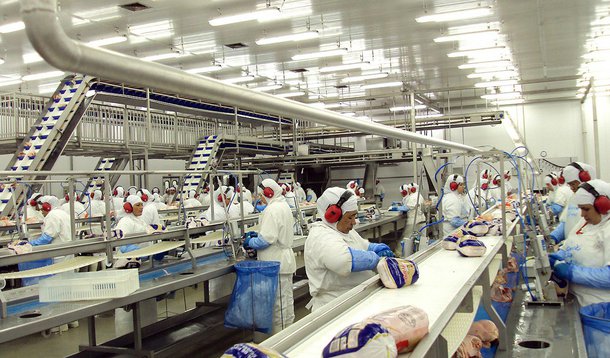 A produção de frango no Brasil chegou a 13,1 milhões de toneladas em 2015, alta de 3,5% sobre os números obtidos em 2014, de acordo com informações da Associação Brasileira de Proteína Animal (ABPA)