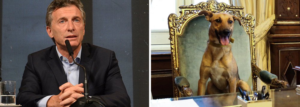 "É o primeiro cachorro da história argentina a chegar neste lugar", postou o presidente argentino Maurício Macri no Facebook; segundo ele, o cão, chamado Balca, "é um símbolo do respeito que temos pelos animais"; o animal foi adotado por ele durante a campanha presidencial e ganhou atenção da imprensa argentina