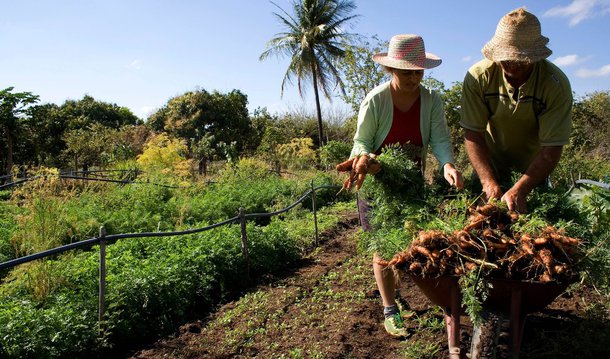 Ministério de Desenvolvimento Agrário anunciou que o Plano Safra da Agricultura Familiar 2016/17 prevê R$ 30 bilhões de reais em crédito para os pequenos agricultores, ante R$ 28,9 bilhões ofertados no ano anterior