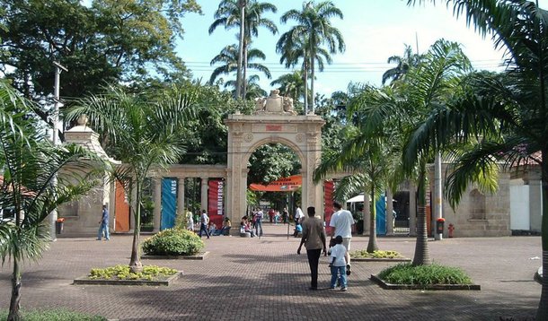 O valor da concessão é de R$ 66,6 milhões e tem prazo de dois anos; a iniciativa será colocada em prática após o Ibama determinar o fechamento do local por problemas estruturais; está prevista a transformação de 120 mil m² em um parque sustentável com áreas de convívio mútuo de animais, reproduzindo o ambiente das savanas, sem o confinamento de recintos exclusivos; o projeto prevê, por exemplo, reforma do hospital veterinário, um sistema que utilize pelo menos 60% de água de reuso, e uma estação de tratamento de esgoto; o espaço terá, ainda, lojas, restaurantes, teleférico e cinema 4D