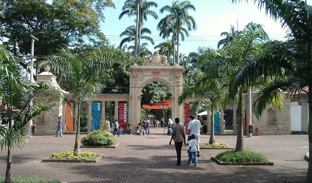 O valor da concessão é de R$ 66,6 milhões e tem prazo de dois anos; a iniciativa será colocada em prática após o Ibama determinar o fechamento do local por problemas estruturais; está prevista a transformação de 120 mil m² em um parque sustentável com áreas de convívio mútuo de animais, reproduzindo o ambiente das savanas, sem o confinamento de recintos exclusivos; o projeto prevê, por exemplo, reforma do hospital veterinário, um sistema que utilize pelo menos 60% de água de reuso, e uma estação de tratamento de esgoto; o espaço terá, ainda, lojas, restaurantes, teleférico e cinema 4D