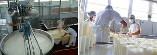 Com o objetivo de assegurar mais competitividade ao mercado de laticínios do Maranhão, o governo do Estado concedeu, por meio do Decreto 31.534, de 11 de marco de 2016, crédito presumido de 2% nas saídas interestaduais de mercadorias produzidas por indústrias do setor, instaladas em território maranhense; a medida, foi proposta pela Secretaria de Indústria e Comércio (Seinc), durante reunião do Sistema Estadual de Produção e Abastecimento (Sepab), visando contribuir para o adensamento da cadeia do leite; antes, as indústrias possuíam carga tributária de 2% nas saídas internas, e 12% na saída interestadual, o que deixou o mercado enfraquecido frente aos de outros estados