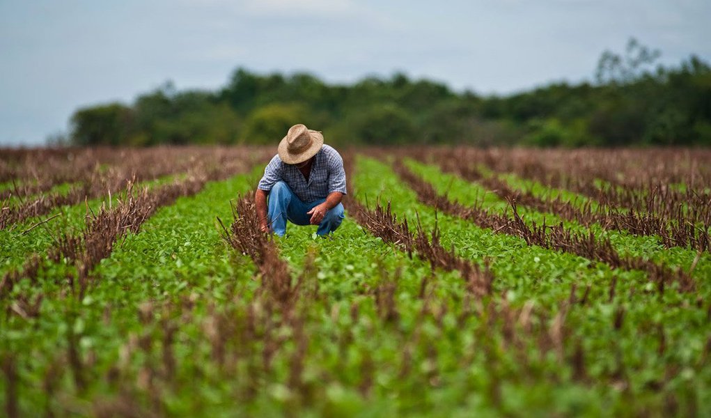 O Plano Safra 2016/2017 vai disponibilizar R$ 202,88 bilhões para produtores rurais; o valor é 8% maior que o da safra anterior, de R$ 187,7 bilhões; o novo Plano Agrícola e Pecuário foi anunciado pela ministra da Agricultura, Pecuária e Abastecimento, Kátia Abreu, em cerimônia no Palácio do Planalto