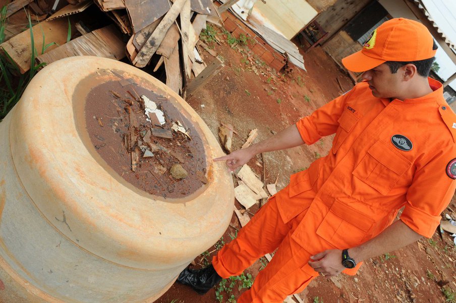 Começou nesta segunda-feira (15) e segue até sexta (19) a terceira fase de ações para combate ao mosquito Aedes aegypti, transmissor da dengue, das febres chikungunya e amarela e do zika vírus; as Forças Armadas encaminharam 3.060 militares para visitar casas e orientar a população do Distrito Federal; o Corpo de Bombeiros atua com 100 praças e oficiais, e a Vigilância Ambiental, da Secretaria de Saúde, com 700 agentes; o trabalho é feito simultaneamente em seis regiões administrativas: Brazlândia, Gama, Lago Norte, Lago Sul, Plano Piloto e São Sebastião