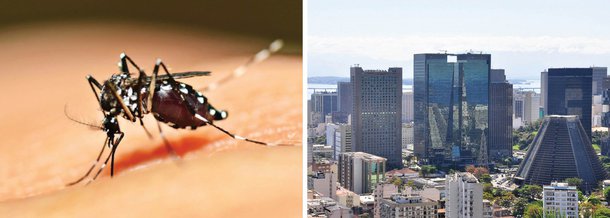 O resultado do Levantamento de Índice Rápido do Aedes aegypti (LIRAa) - uma metodologia advinda do Ministério da Saúde -, realizado no período de 18 a 24 de fevereiro, colocou o município do Rio de Janeiro na faixa verde, que representa baixo risco para ocorrência da doença; o LIRAa apresentou o menor índice de infestação predial (IIP) da história da cidade para o período do verão: 0,9%; o índice é considerado satisfatório quando está abaixo de 1% de larvas do mosquito transmissor da dengue, zika e chikungunya