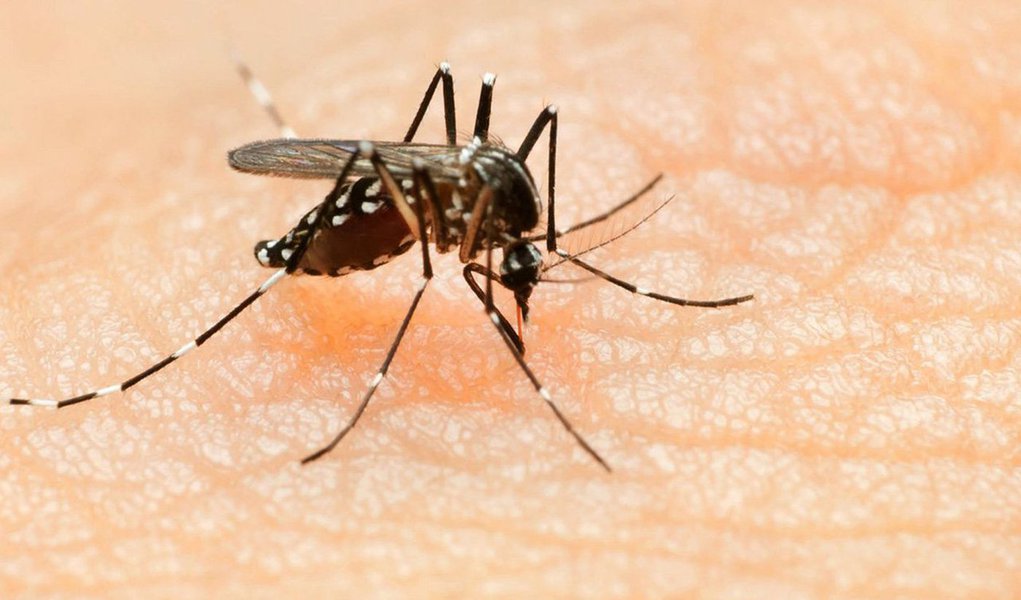 O número de pessoas infectadas pelo vírus Zika na Colômbia subiu 15,4% na semana passada a 42.706 casos, incluindo 7.653 grávidas, disse neste sábado o Instituto Nacional de Saúde; o relatório disse que na última semana o número de mulheres grávidas que contraíram o vírus aumentou 20,4%; a Colômbia é o segundo país com mais casos de Zika na América Latina e no Caribe, depois do Brasil