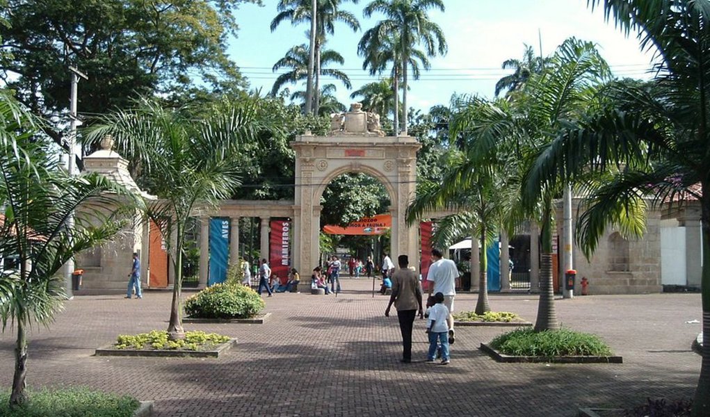 O Jardim Zoológico do Rio reabriu com melhorias para o público e para os animais; o espaço de interação entre visitantes e aves, o Viveirão dos Pássaros, voltou a funcionar após oito anos interditado, totalmente remodelado e com visitas guiadas por educadores ambientais; um aviso de licitação para a gestão do Zoológico, publicado em janeiro no Diário Oficial do Município, prevê concessão por dois anos por meio de PPP no valor de R$ 66,6 milhões; as mudanças foram feitas após o Ibama determinar, em janeiro, o fechamento do Zoo por conta de problemas estruturais