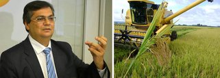 A nova alíquota de ICMS para agrotóxicos, aprovada pela Assembleia Legislativa do Maranhão, não irá provocar aumento considerável de preços, de acordo com o governador Flávio Dino (PCdoB); segundo ele, a composição que define o valor de um produto é formada por uma série de itens e fatores e não seria uma elevação de 2% no valor do imposto que causaria esta necessidade de um reajuste expressivo no preço do arroz, do feijão, do milho, de frutas, até porque isto “não representa nada” para os empresários do setor