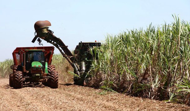 As usinas do Brasil aumentarão a quantidade de cana-de-açúcar destinada à produção de açúcar na safra 2016/17, o que deve fazer com que os volumes se aproximem de níveis recordes; expectativa é que os produtores do centro-sul direcionem 43% da safra de mais de 600 milhões de toneladas para o açúcar; produção é estimada em 33,9 milhões de toneladas, chegando perto da marca histórica da safra de 2013/14, de 34,4 milhões de toneladas