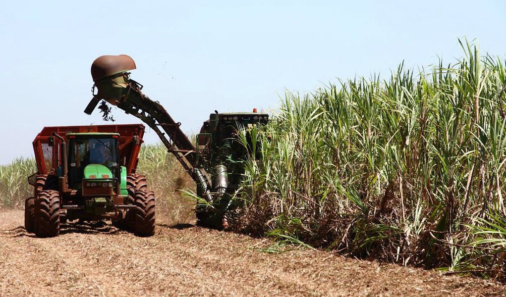 As usinas do Brasil aumentarão a quantidade de cana-de-açúcar destinada à produção de açúcar na safra 2016/17, o que deve fazer com que os volumes se aproximem de níveis recordes; expectativa é que os produtores do centro-sul direcionem 43% da safra de mais de 600 milhões de toneladas para o açúcar; produção é estimada em 33,9 milhões de toneladas, chegando perto da marca histórica da safra de 2013/14, de 34,4 milhões de toneladas