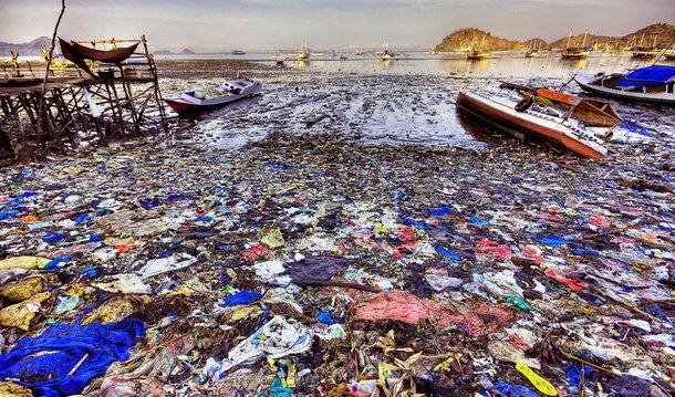 “O sistema atual de produção, de utilização e de abandono de plásticos tem efeitos negativos significativos: entre US$ 80 bilhões e US$ 120 bilhões (entre 73 bilhões de euros e 109 bilhões de euros) em embalagens de plástico são perdidos anualmente. A par do custo financeiro, se nada mudar, os oceanos terão mais plásticos do que peixes [em peso] até 2050”, indicou um comunicado do fórum de Davos, que vai reunir até sábado (23) líderes mundiais e bilionários