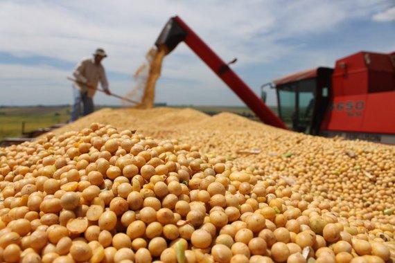 A produção de grãos da safra 2015/2016 deve chegar a 209 milhões de toneladas – aumento de 0,6% (1,3 milhões de toneladas) em relação à safra 2014/2015, que alcançou 207,7 milhões de toneladas; números são do 7º Levantamento da Safra de Grãos da Companhia Nacional de Abastecimento (Conab), divulgado nesta quinta-feira; houve redução, porém, de 0,6% em relação ao sexto levantamento, que previa uma safra de 210,3 milhões de toneladas de grãos; mesmo assim, a safra será recorde