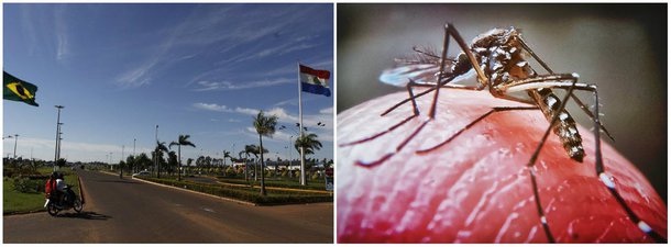 Na região de fronteira com o Brasil foi onde a circulação do vírus foi detectada nas últimas semanas, informou o Ministério da Saúde paraguaio; as autoridades sanitárias estão monitorando cerca de 150 mulheres grávidas na região localizada a cerca de 500 km ao norte da capital Assunção, por conta da probabilidade de que apareçam casos de microcefalia em bebês cujas mães foram infectadas pelo vírus no Brasil