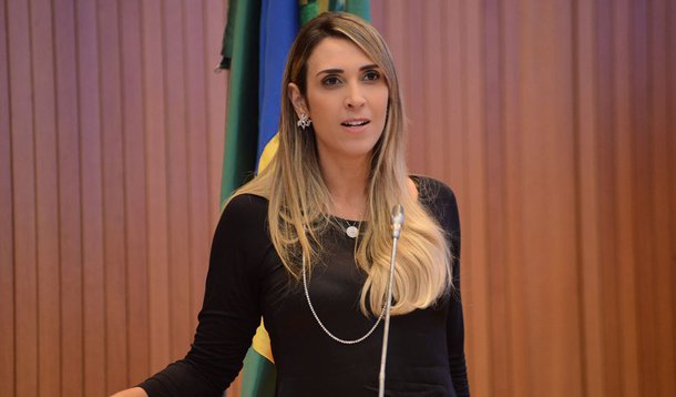 Deputada Andrea Murad (PMDB) cobrou explicações do governo do Estado sobre o grande número de obras financiadas pelo BNDES e que, segundo ela, estariam paralisadas; parlamentar informou ter enviado a lista ao governador