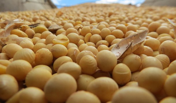Dados da Associação Brasileira das Indústrias de Óleos Vegetais (Abiove) apontam que o Brasil deverá produzir um recorde de 97,8 milhões de toneladas de soja em 2015/16; volume é 3,2% que a safra 2014/15; exportações brasileiras foram projetadas em um recorde de 52,8 milhões de toneladas, ante um volume revisado de 52,4 milhões de toneladas