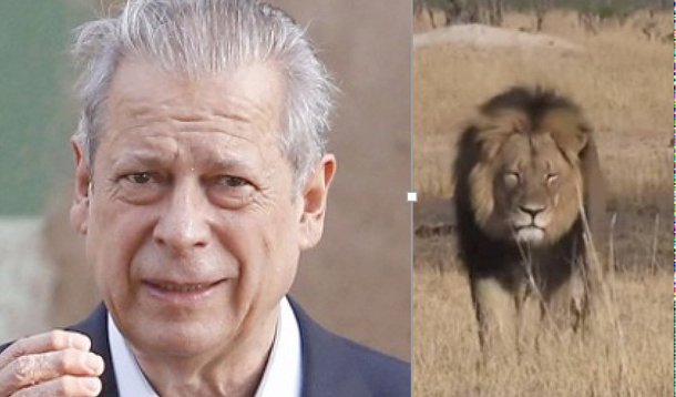 Abateram o Zé Dirceu. Nesse sentido, ele está para o leão Cecil como o juiz Sérgio Moro está para o caçador Walter Palmer