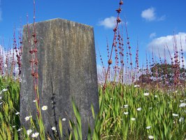 Cansei do jornalismo. Mudar de vida. Trabalhar com a morte: escreverei epitáfios