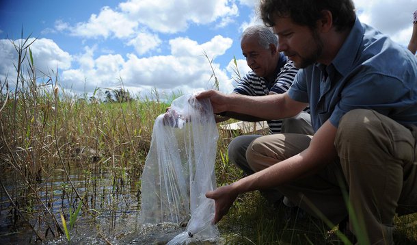De janeiro até hoje (29), o número de casos confirmados de dengue em Brasília diminuiu 27,71% se comparado ao mesmo período de 2014; foram 7.415 contra 10.527 ocorrências registradas da doença, respectivamente; os dados foram divulgados nesta segunda-feira pela Secretaria de Saúde